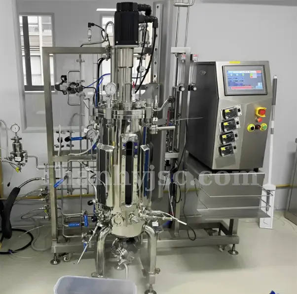 Hệ Thống Lên Men Vi Sinh 100L TY-MVS100