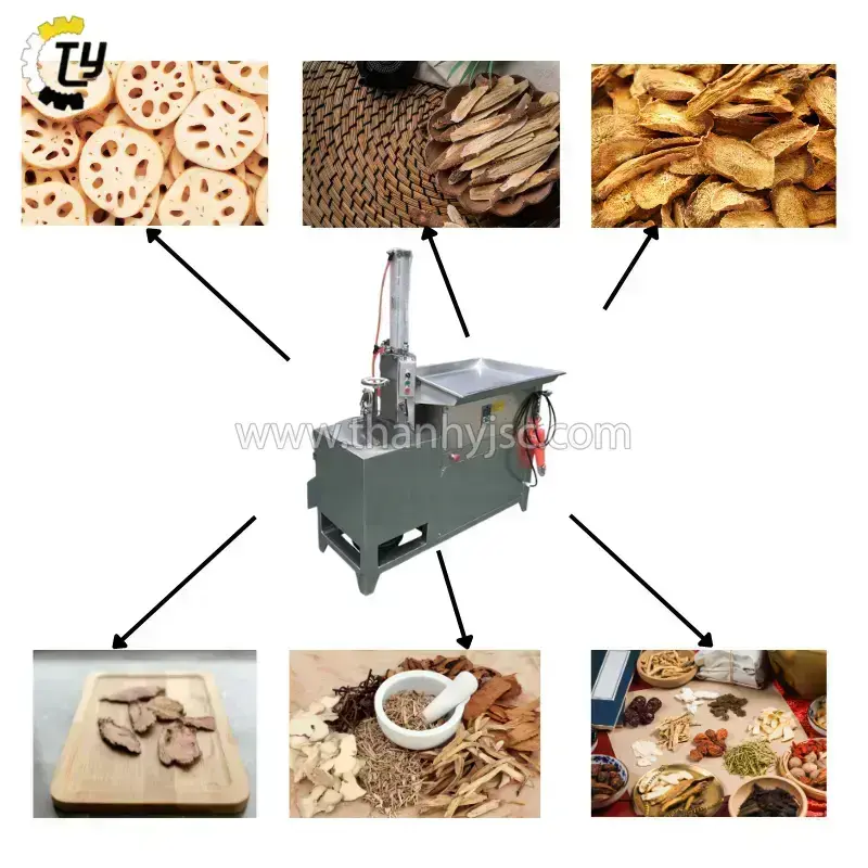 Máy Thái Lát Củ Quả, Dược Liệu 800Kg/H - MTL400