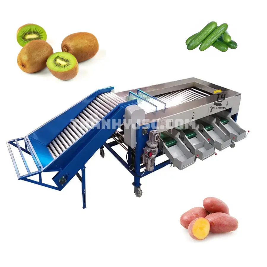 Máy Phân Loại Rau Củ Quả Dạng Con Lăn