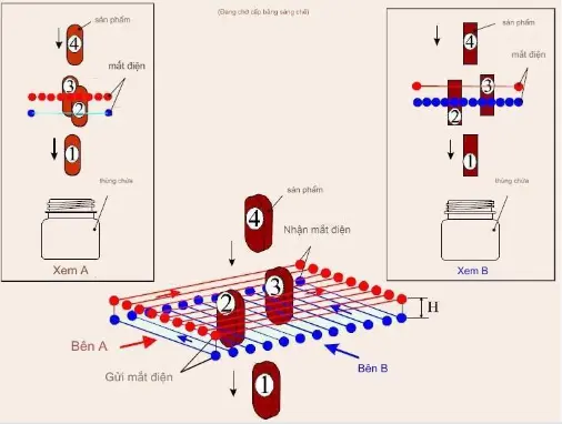 Máy Đếm Viên Điện Tử Đa Đường Tự Động Năng Suất Cao TY-208