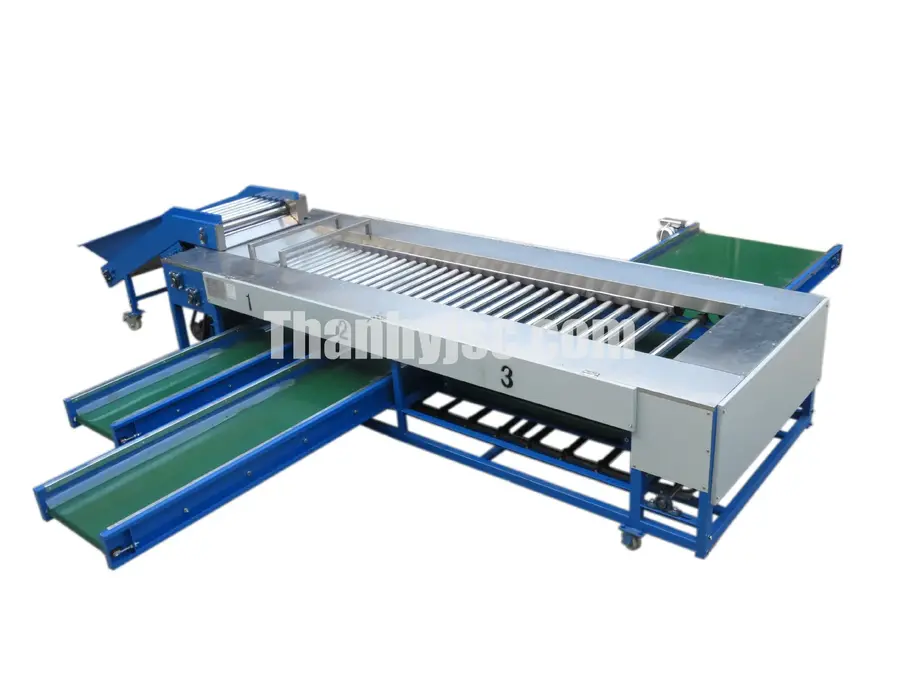 Máy Phân Loại Rau Củ Quả Dạng Con Lăn