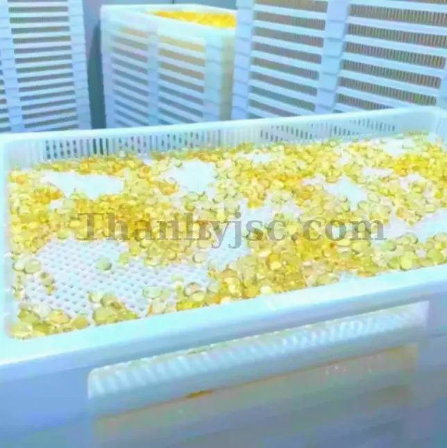 Khay Sấy Viên Nang Mềm 500MM TY-KS500