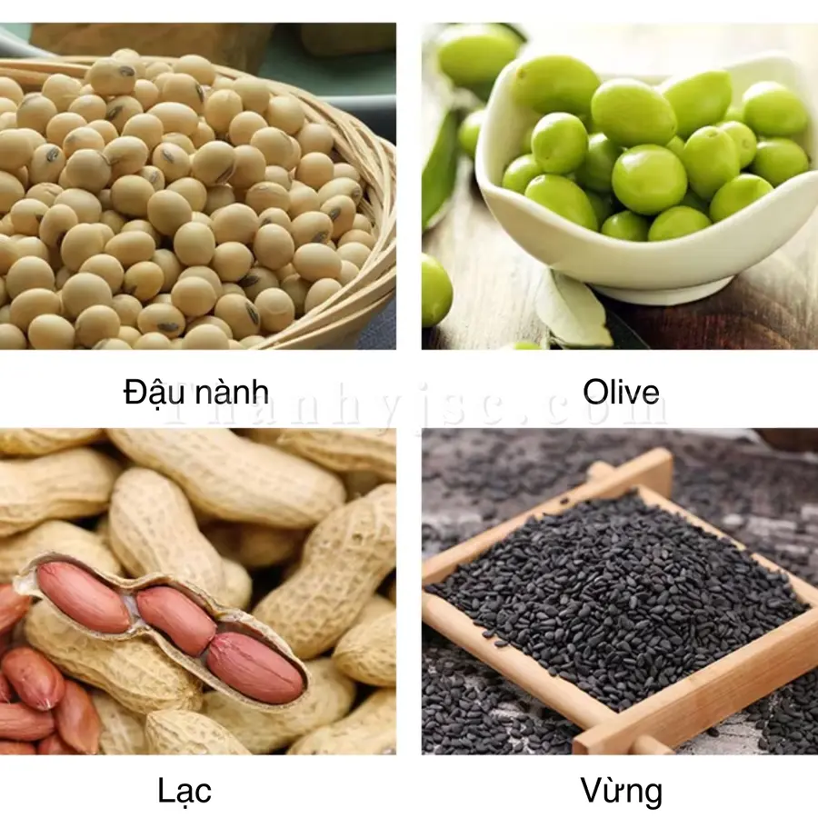 Máy Ép Dầu Thực Vật 10 Kg/H