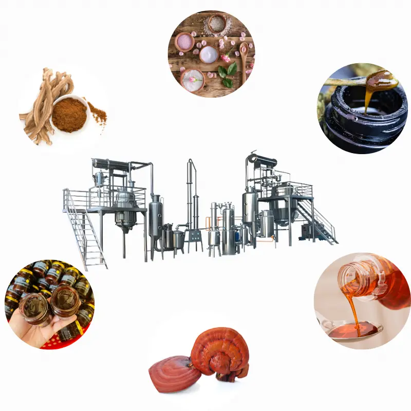 Quy Trình Sản Xuất Cao Linh Chi